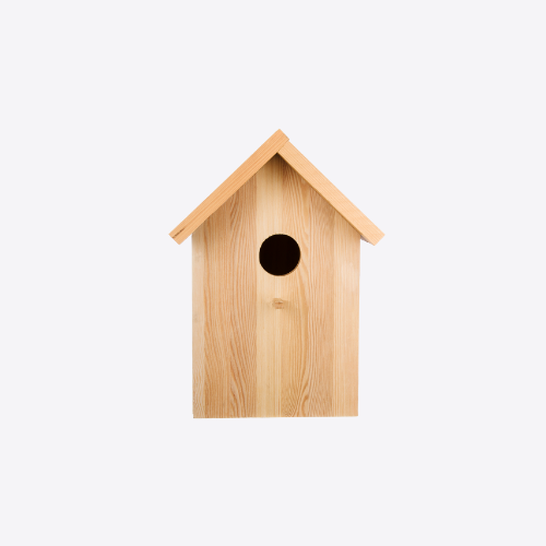 Bird Feeders & Houses