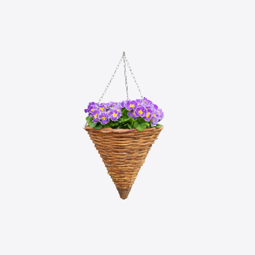 Hanging Baskets
