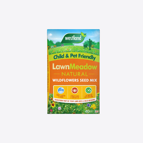 Lawn Seeds