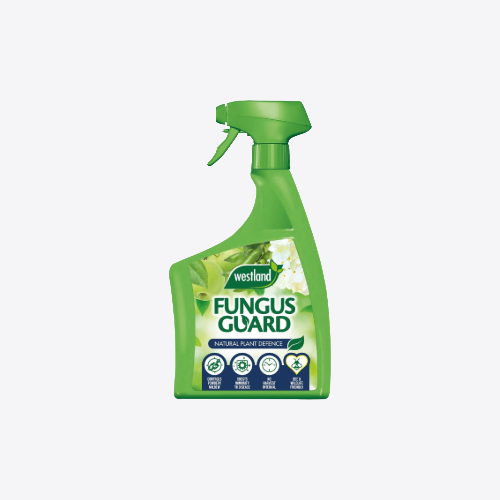 Pesticides & Disease Control