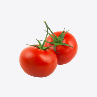 Tomatoe Plants