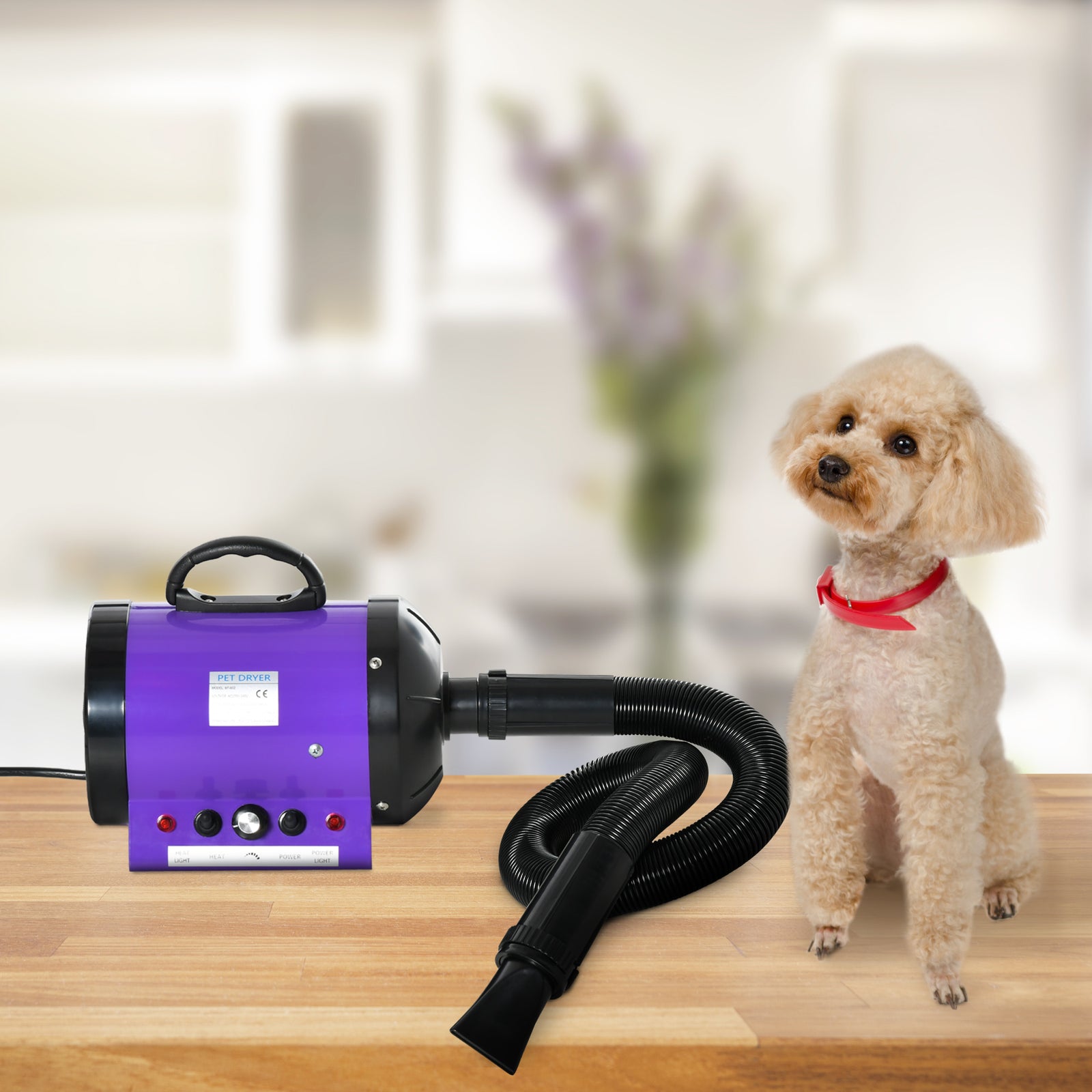 2800w Dog Hair Dryer Pet Grooming Blaster Blower Dryer 3 Nozzles | Purple