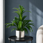 Artificial 65cm Large Leaf Bamboo Shrub Plant With Silver Planter