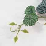 6 X 50cm Artificial Begonia Trailing  Plant