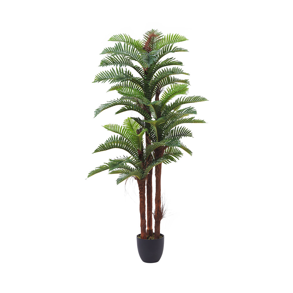 200cm Tall Artificial Fern Decorative Plant In Planter