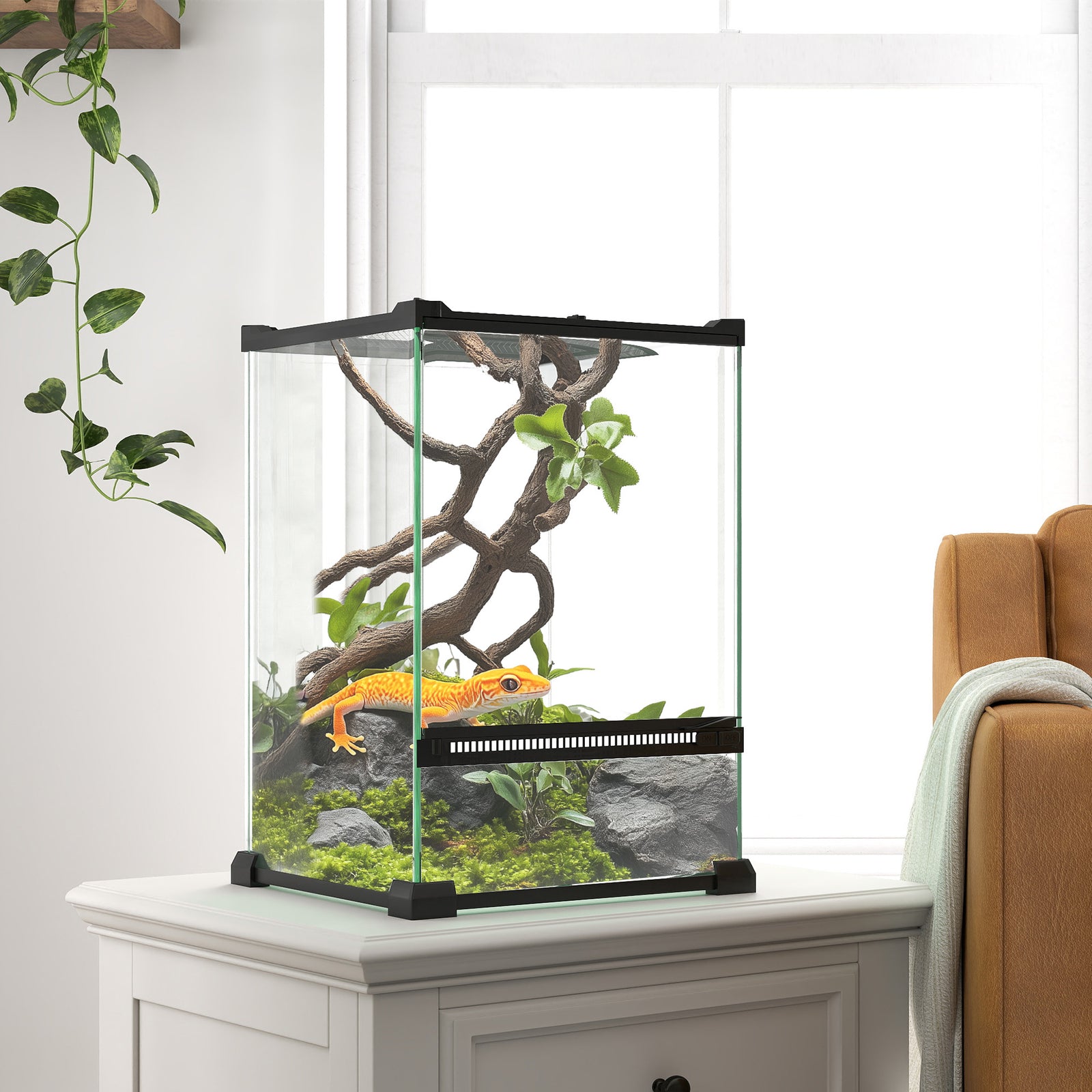 Glass Reptile Terrarium, Vivarium For Lizards, Frogs, Snakes, Turtles | Black