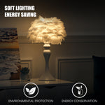 Accent Feather Table Lamp With Led Light