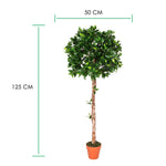 Artificial Green Handcrafted Ficus Topiary Tree With Pot, 125 Cm (4 Ft)
