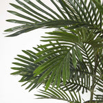 Areca Palm Tree In Pot | 120cm | Green
