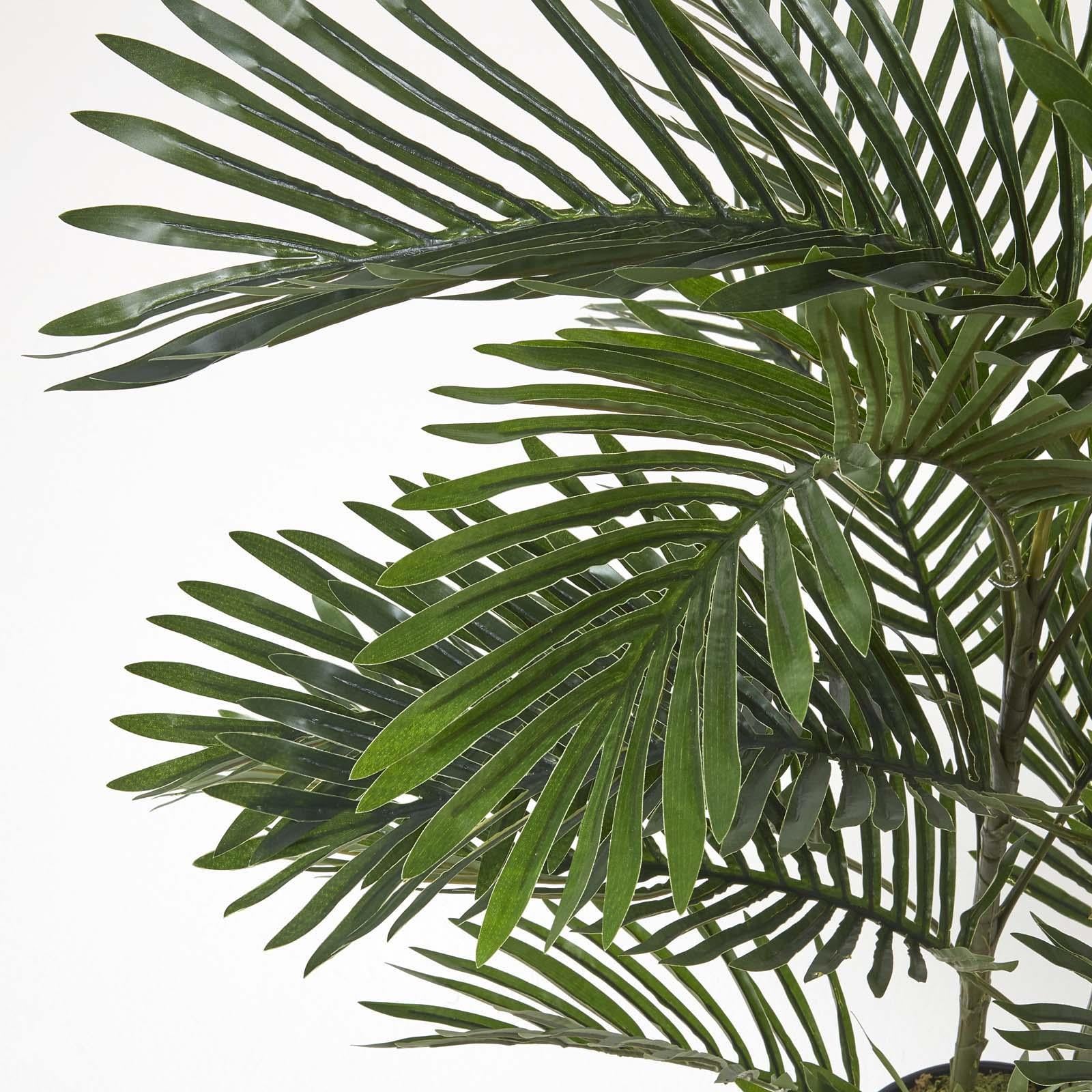 Areca Palm Tree In Pot | 120cm | Green