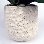 60cm Pure White Artificial Orchid With Ceramic Bubble Planter