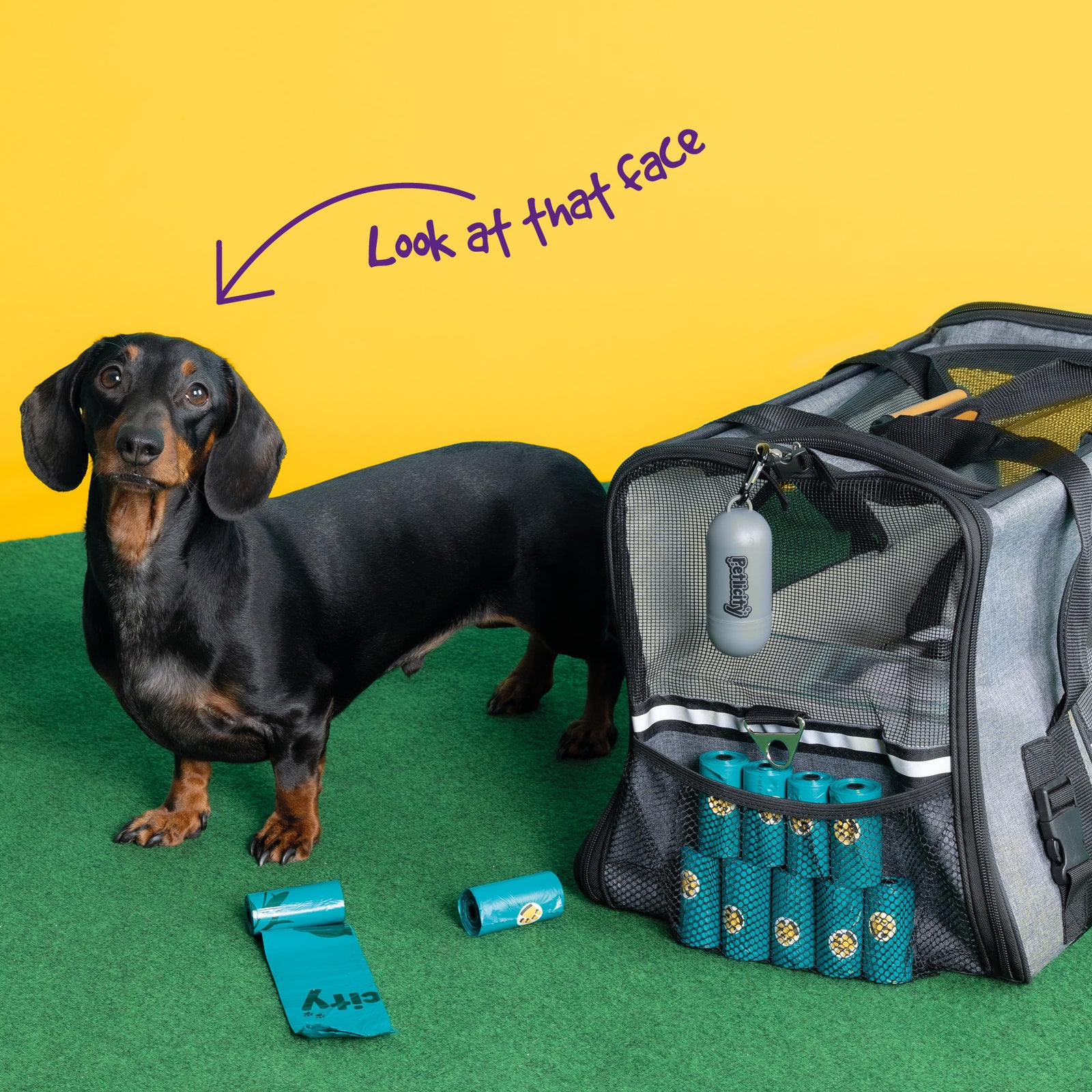 Dog Poop Bag Holder With 300 Bags