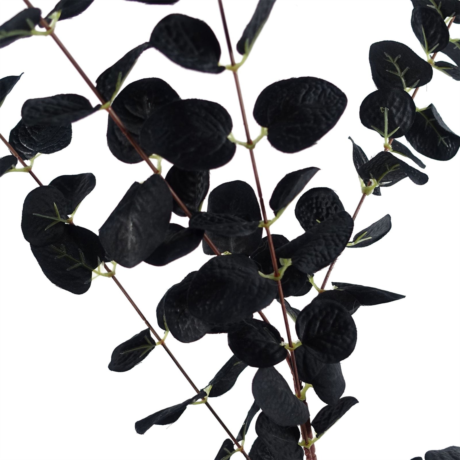 6 X 80cm Black Eucalyptus Foliage Stem