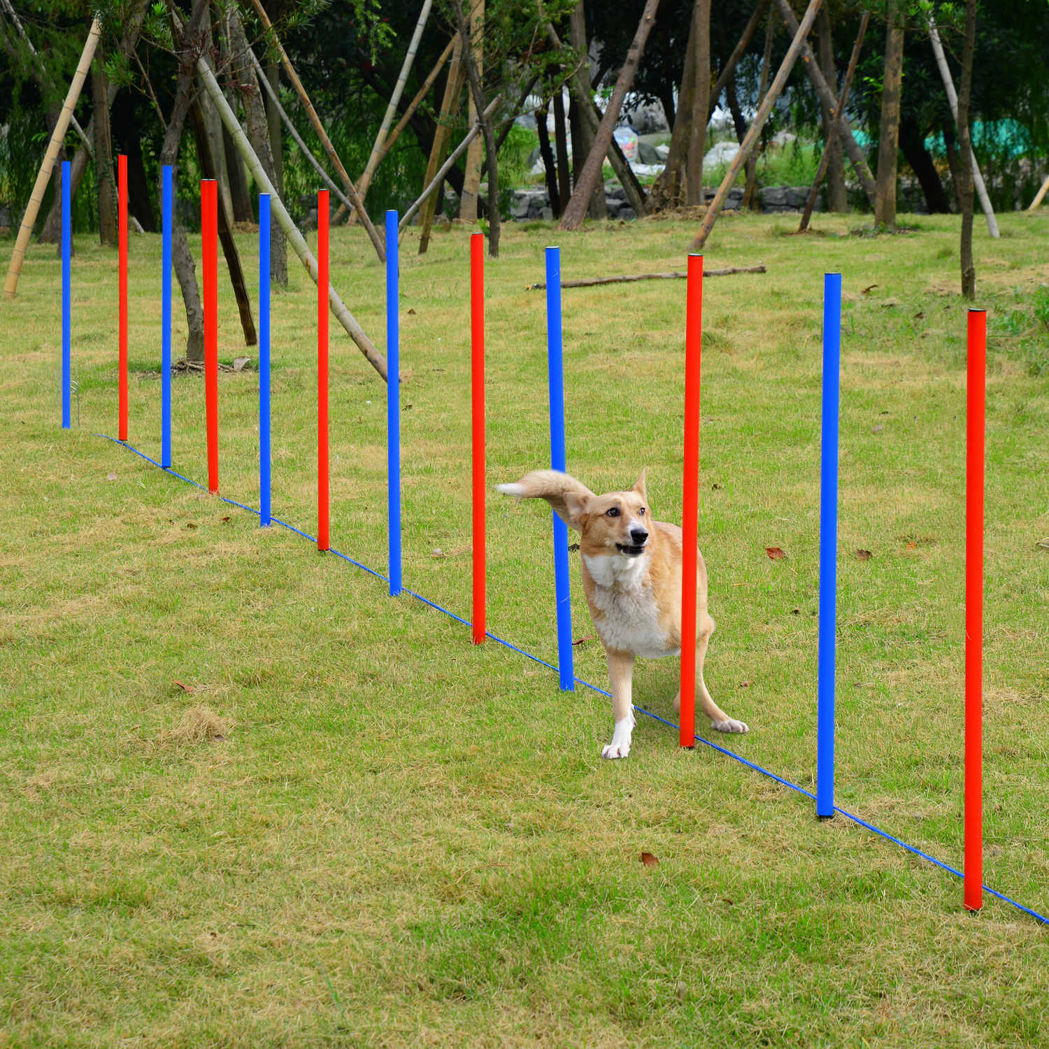Pet Agility Set Training Dogs Outdoor Outward Play Adjustable Pole