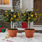 2pcs Artificial Pre-lit Christmas Planter Bushes Decorations