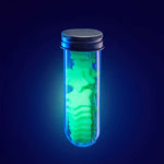 Wish Lab - Glow-in-the-dark Stars