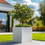 Zinc Galvanised Square Planter | 60cm x 60cm x 60cm | White