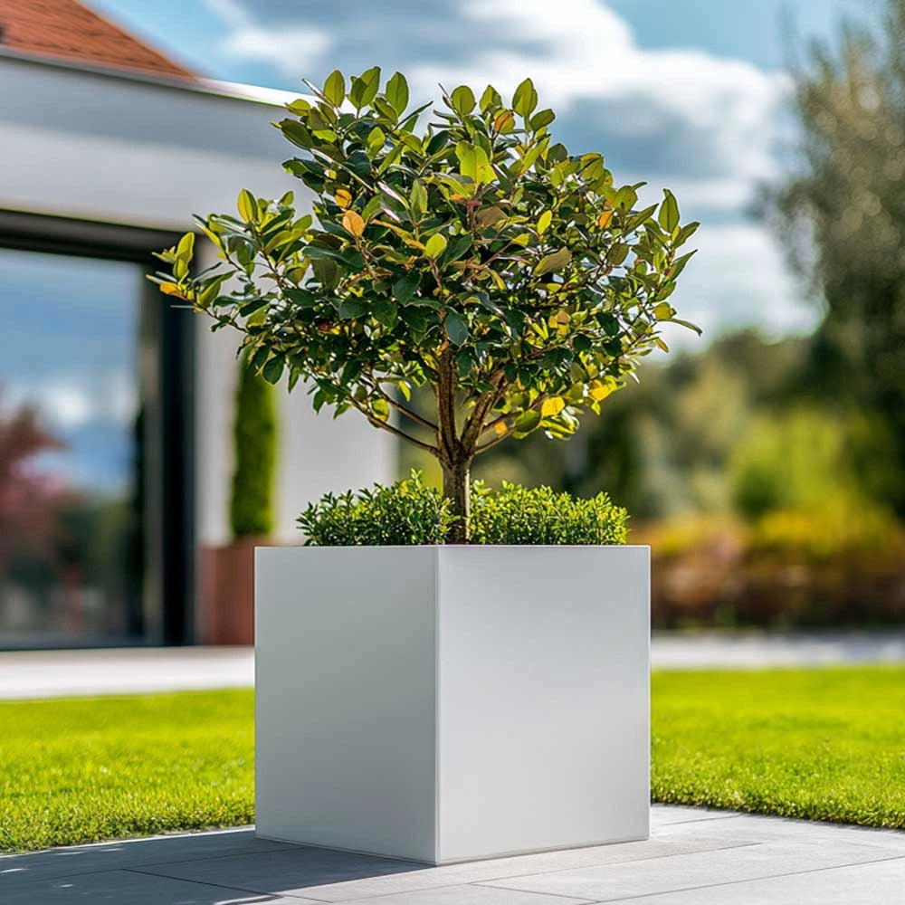 Zinc Galvanised Square Planter | 60cm x 60cm x 60cm | White