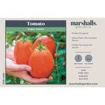 Super Mama Tomato - Compact Patio Variety Seeds | 15 Seeds
