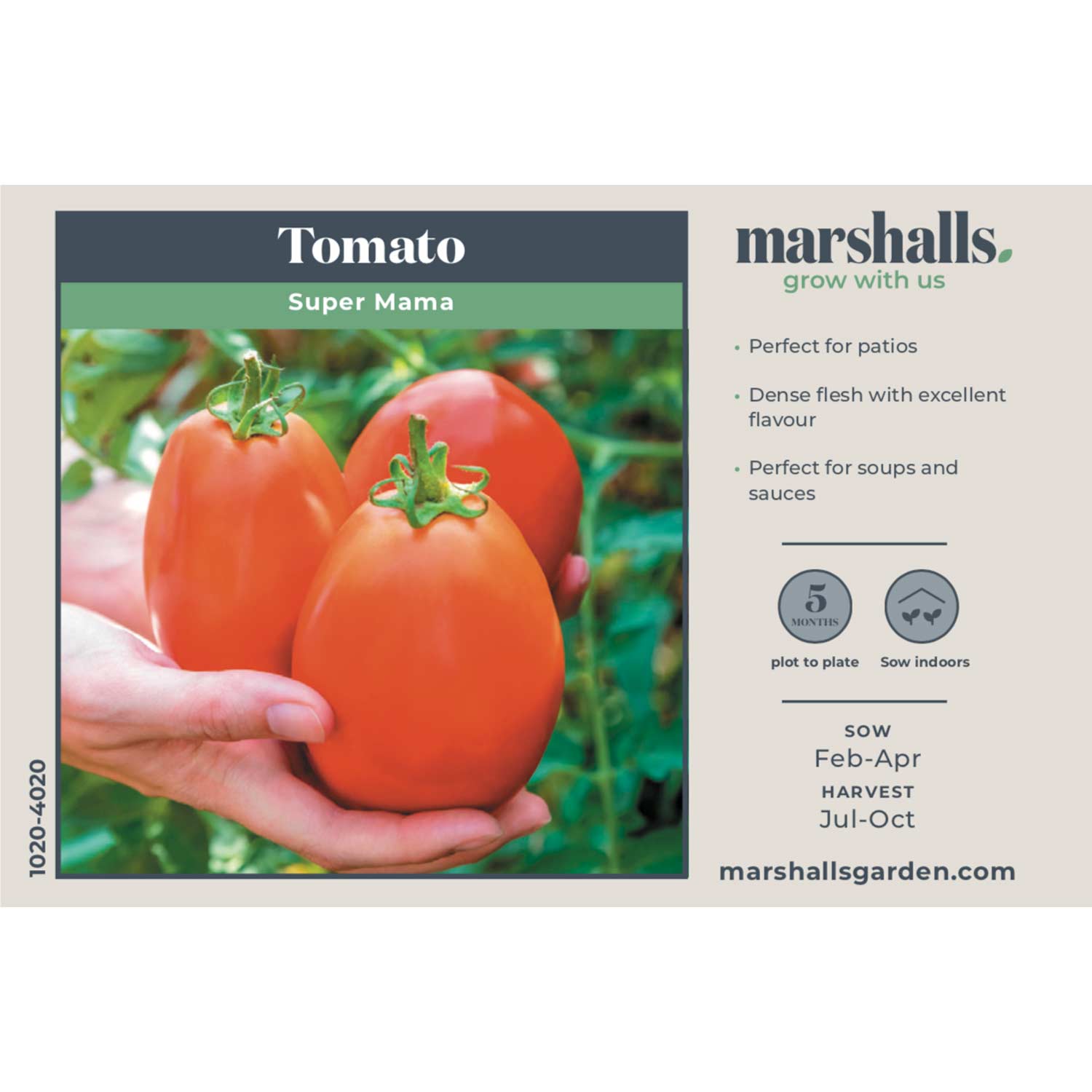 Super Mama Tomato - Compact Patio Variety Seeds | 15 Seeds