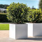 Zinc Galvanised Square Planter | 60cm x 60cm x 60cm | White