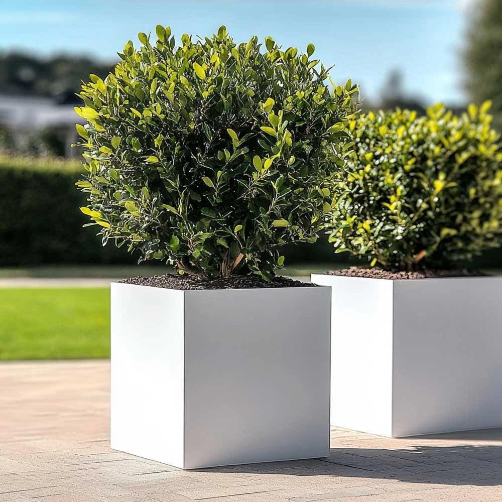 Zinc Galvanised Square Planter | 60cm x 60cm x 60cm | White