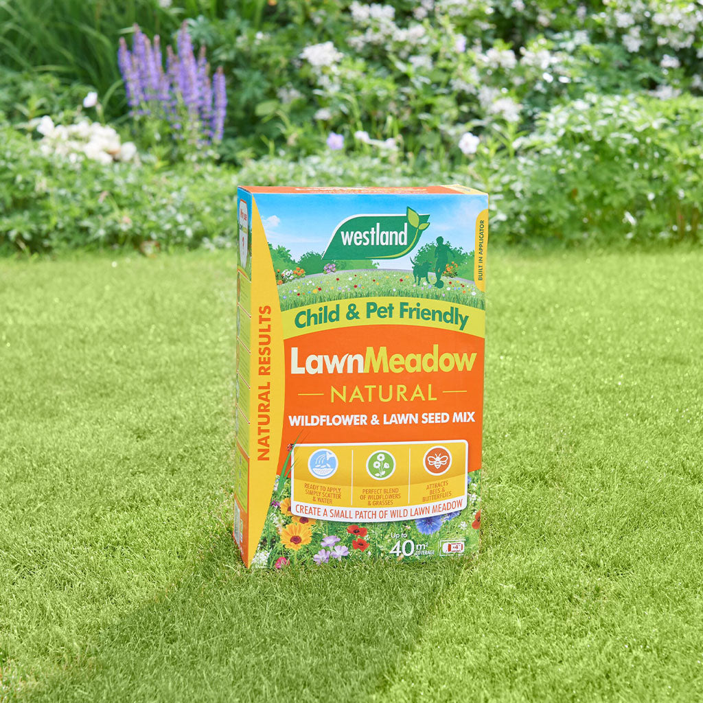 Lawn Meadow Wildflower & Lawn Seed Mix | 350sqm
