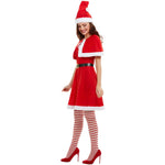 Adult Miss Santa Costume | Plus X1