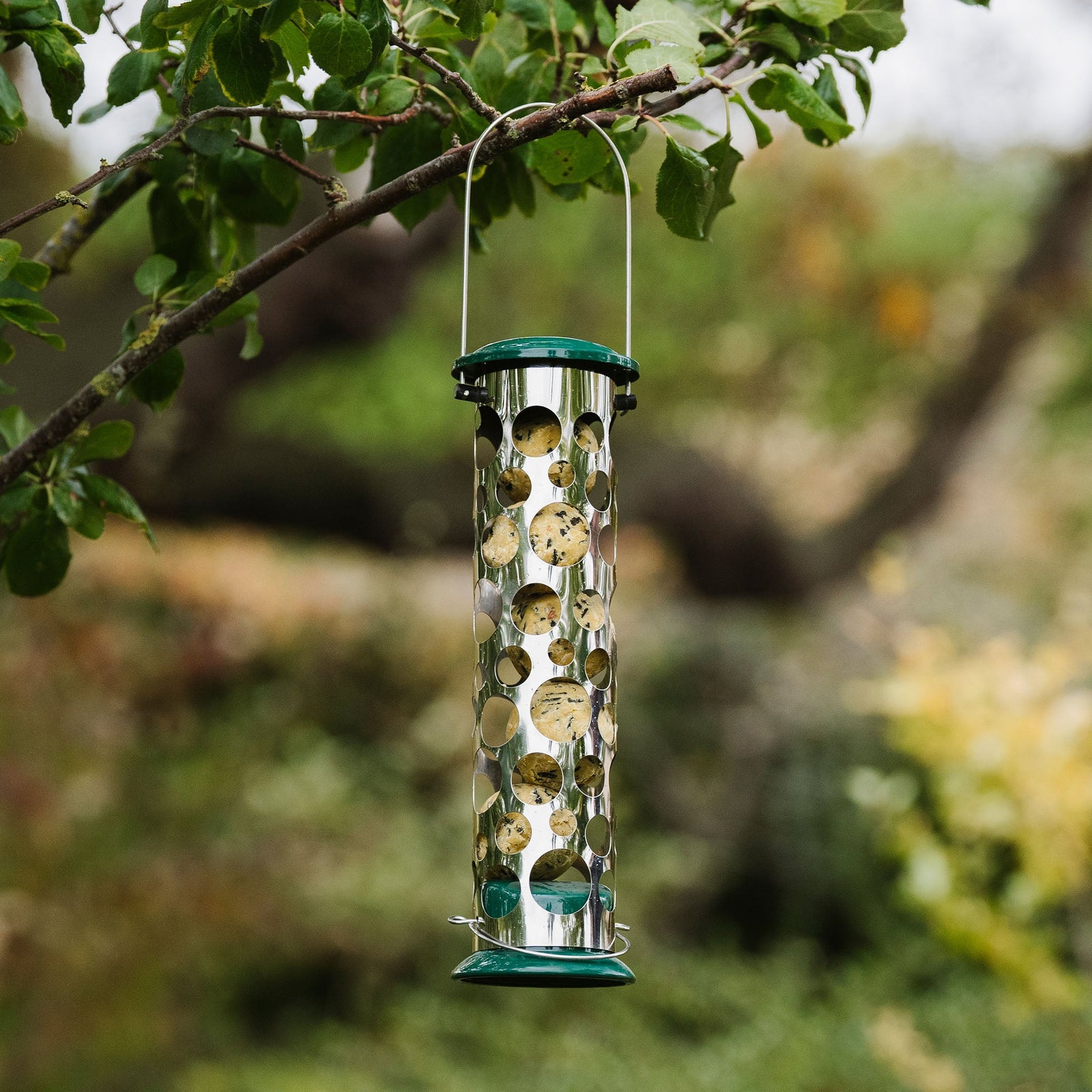 All Weather Energy Ball Feeder | Green