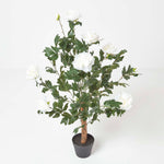 Artificial Peony Tree In Black Pot, 100 Cm Tall | 100cm | Beige