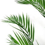118cm Artificial Palm Tree- Unpotted