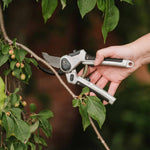 Eversharp Lite All-purpose Secateurs