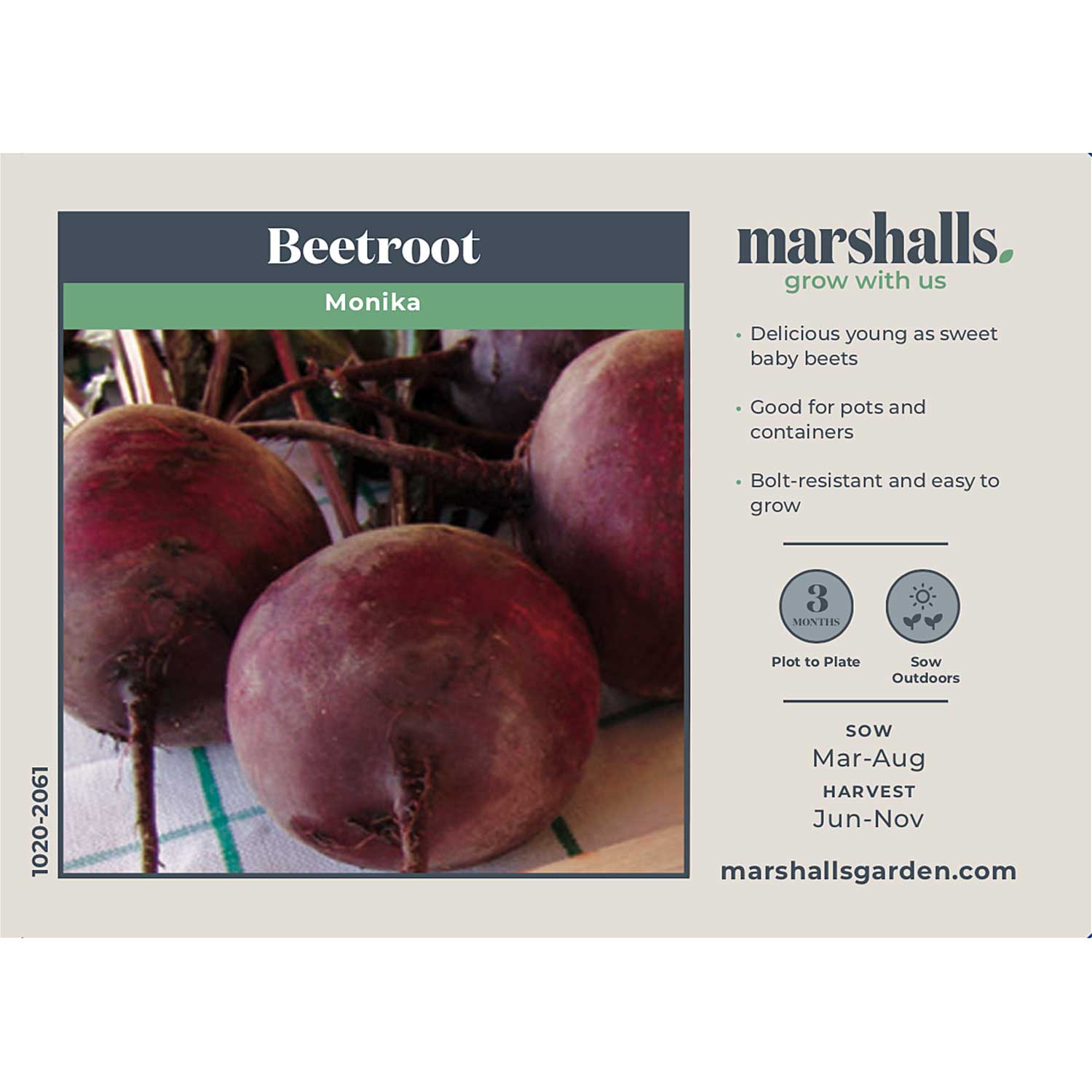 Beetroot Monika - Monogerm | 200 Seeds