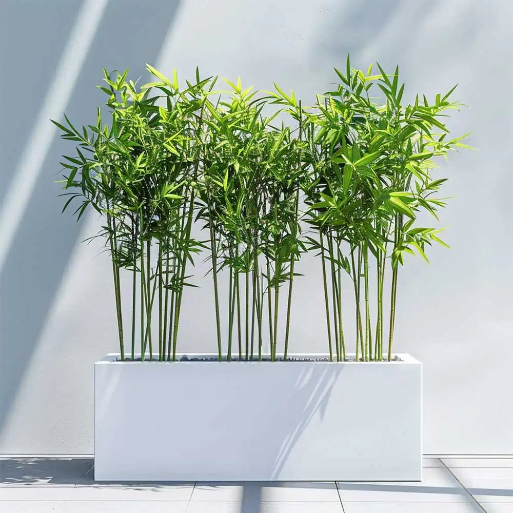 Zinc Galvanised Trough Planter | 70cm x 24cm x 24cm | White