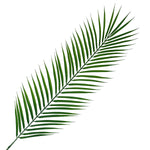 Pack Of 6 X 100cm Realistic Artificial Palm