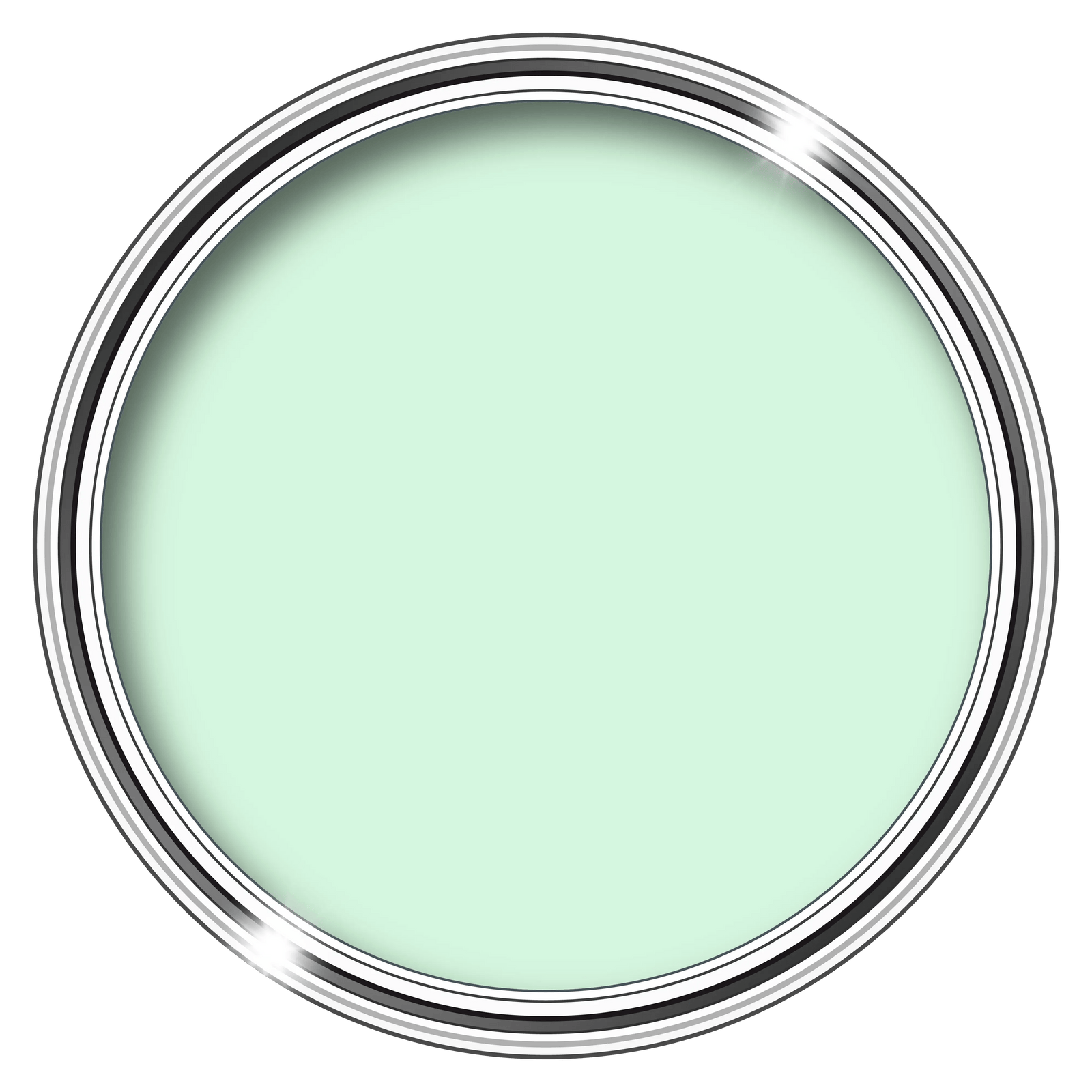 Anti Damp Paint - Damp Proof For Interior Walls & Ceilings | 1L | Mint Green