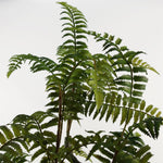 70cm Artificial Fern Tree In Decorative Planter