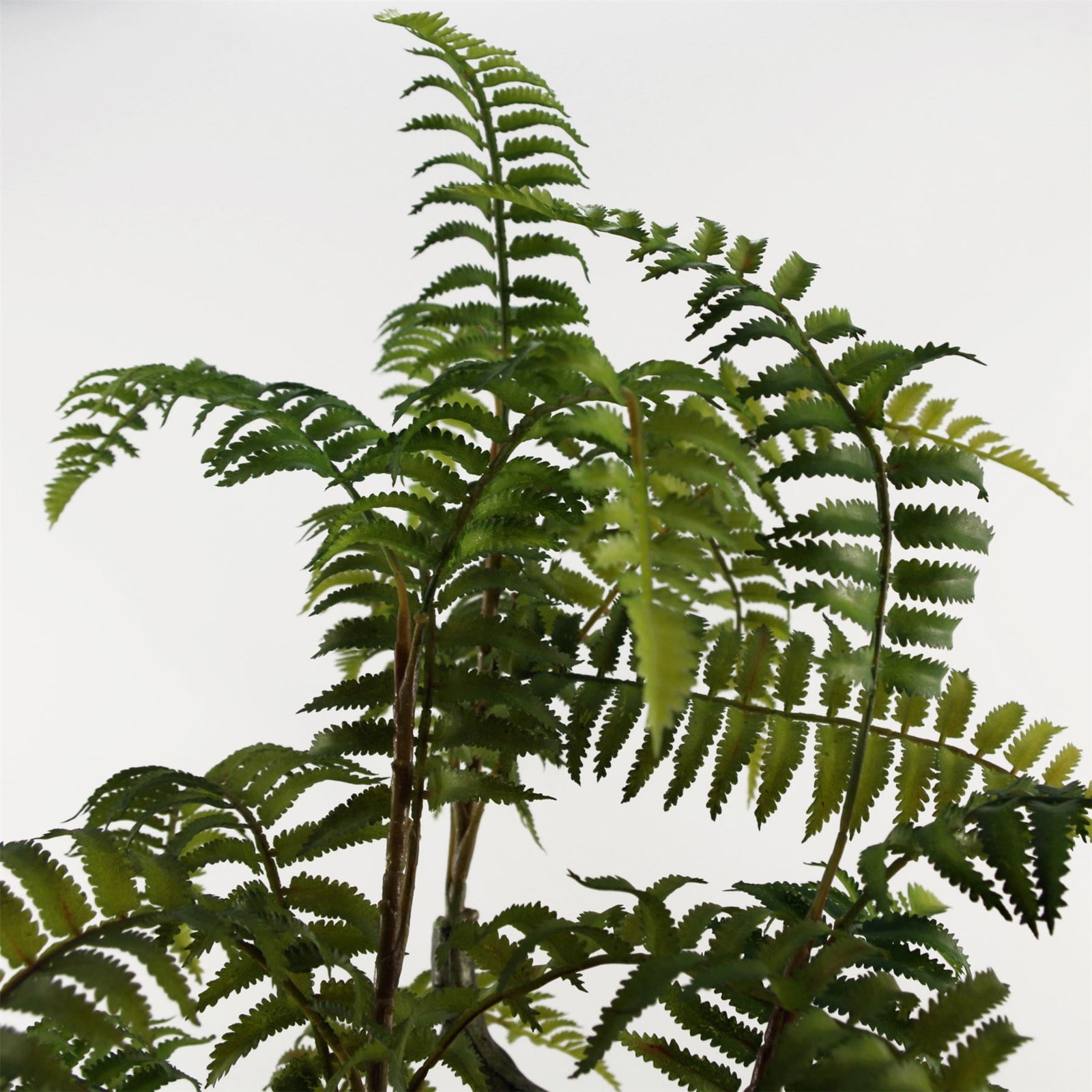 70cm Artificial Fern Tree In Decorative Planter