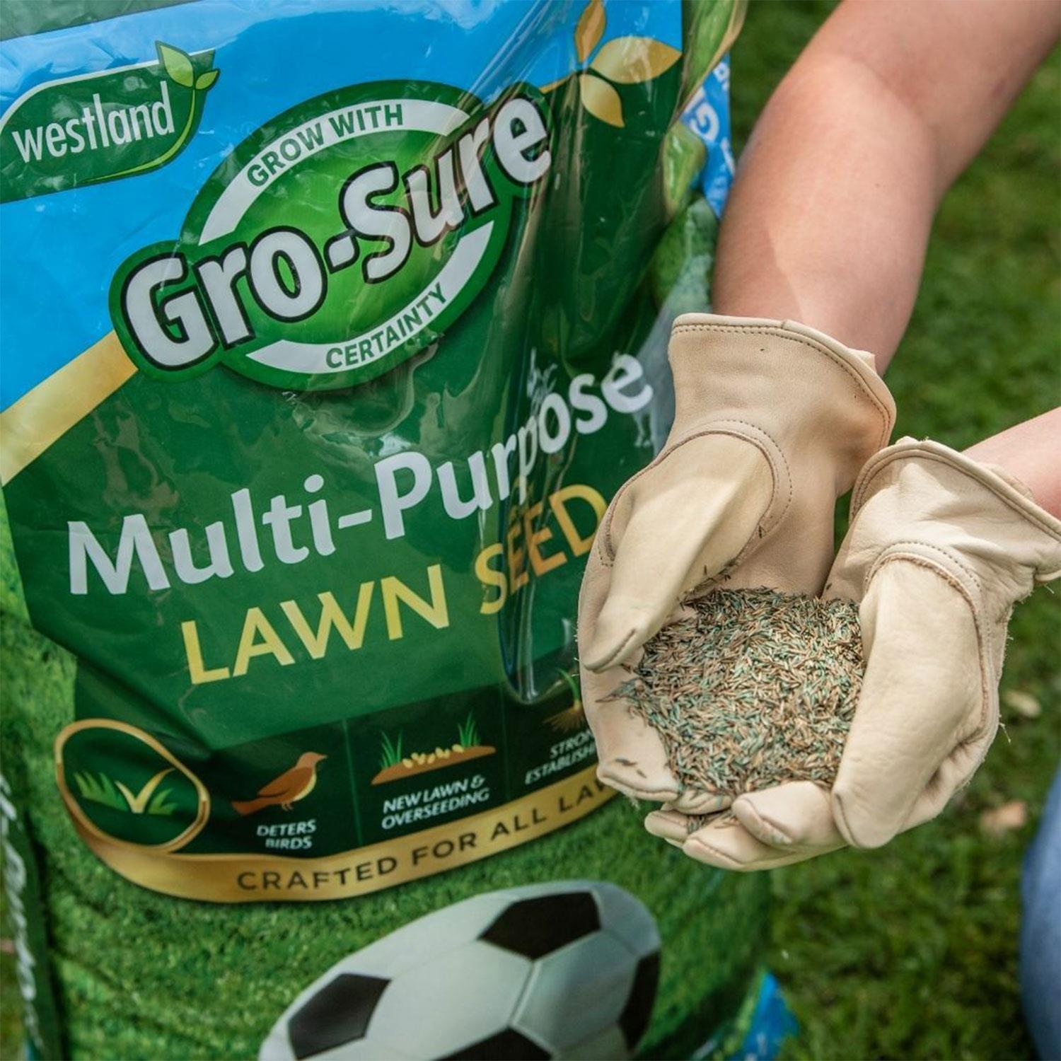 Multi-purpose Lawn Grass Seed Covers 120m2, 3.6kg | Green