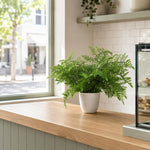 30cm Artificial Potted Southern Wood Fern
