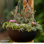 Stone Effect 35cm Hanging Basket Black With Spot | Set of 2 | Black
