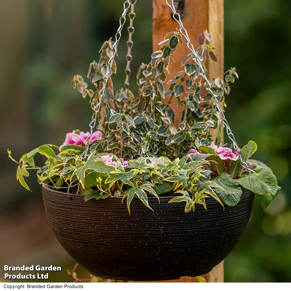 Stone Effect 35cm Hanging Basket Black With Spot | Set of 2 | Black