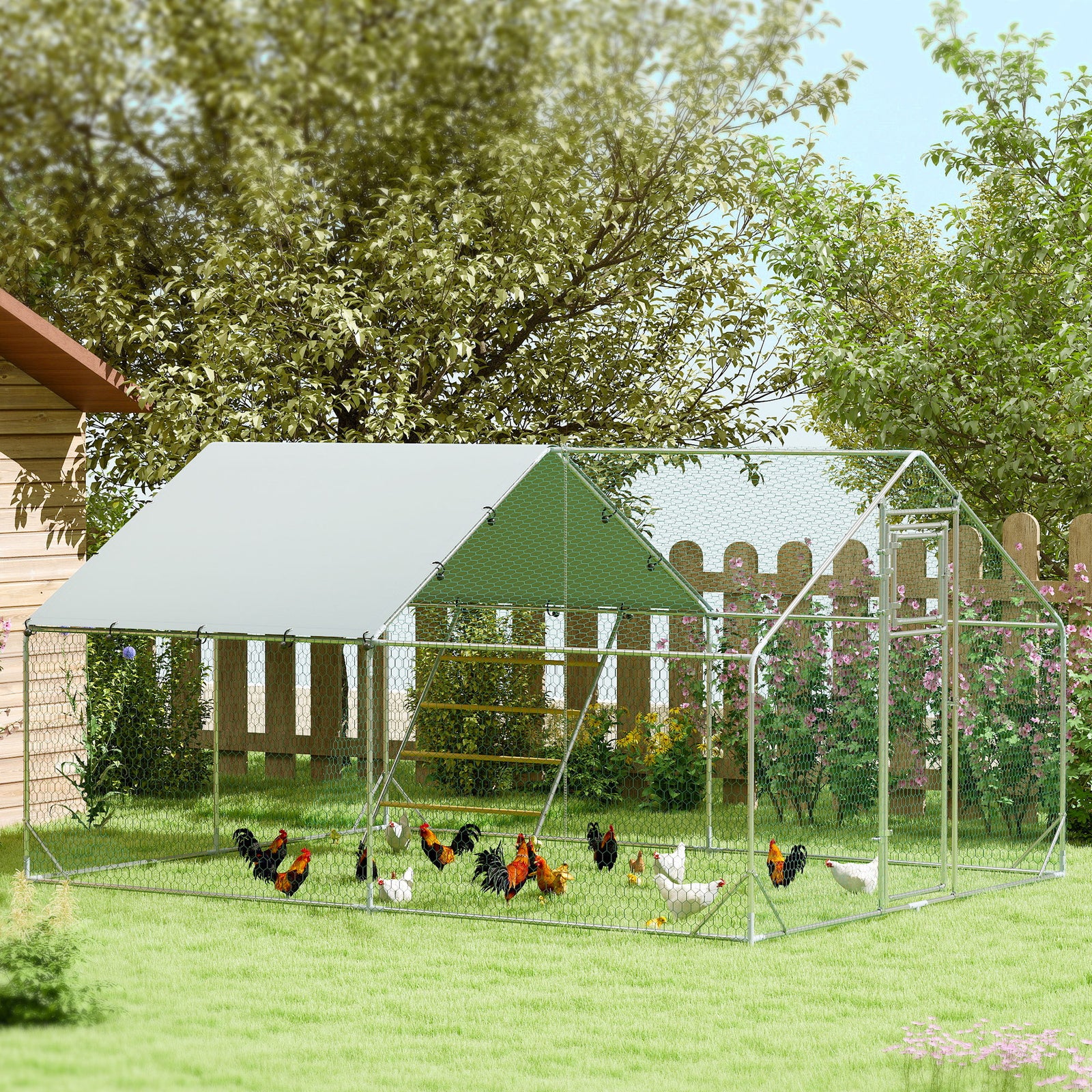 Walk In Chicken Run W/ Cover, Hanging Feeder, Perch | Large | Silver