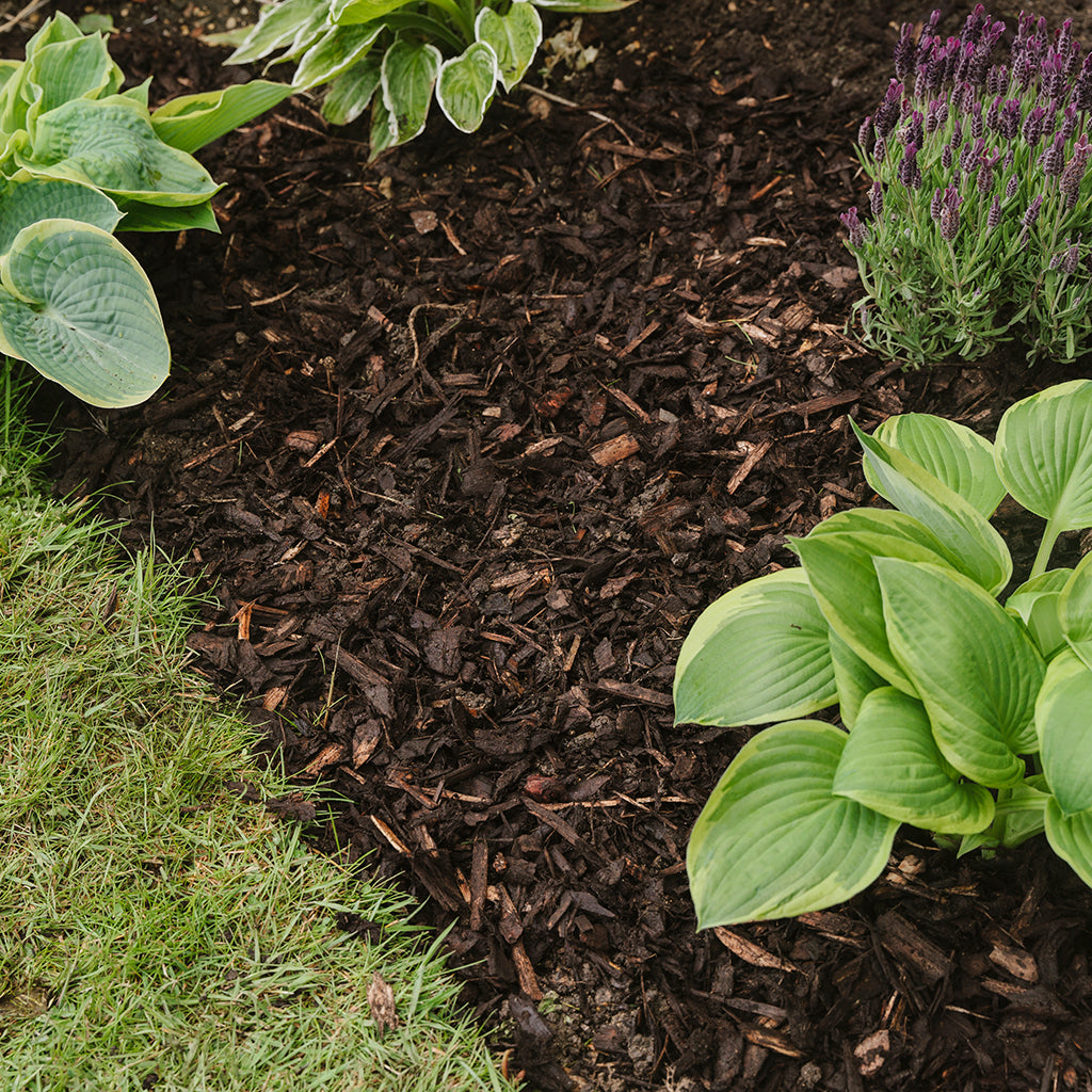 Decorative Mini Bark 48 X 70l Bags (3360 L Total) 8-20mm Mini Chips