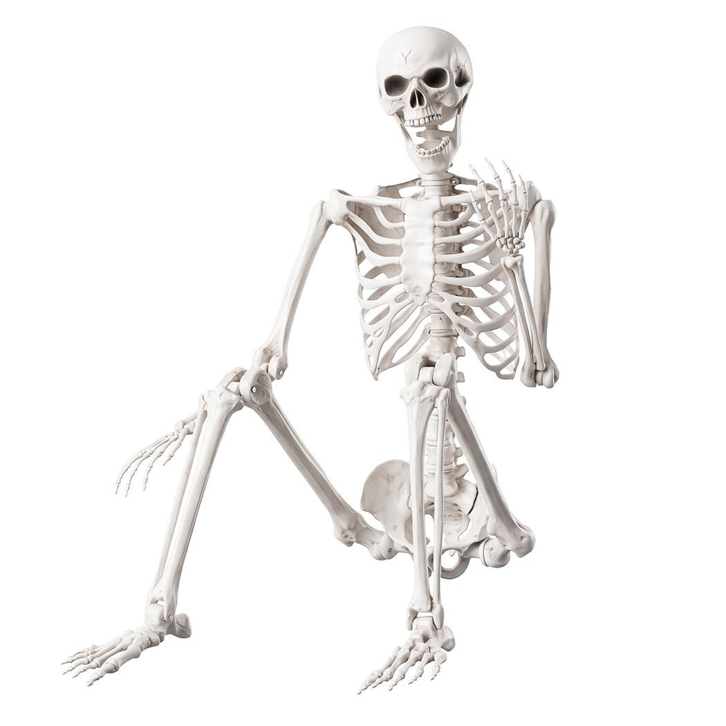 Yezi Halloween Skeleton Life Size Posable Jointed Decoration Haunted House White