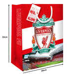 Liverpool FC Medium Gift Bag Official Product