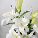 90cm Artificial Lily Stargazer Style Lillies Plant Large Flowers Pink