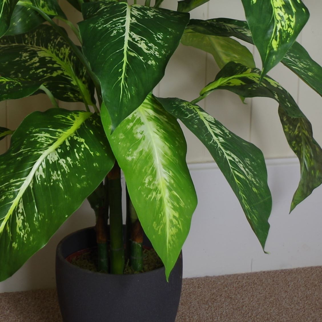 Artificial 100cm Large Fox's Aglaonema Tree Plant