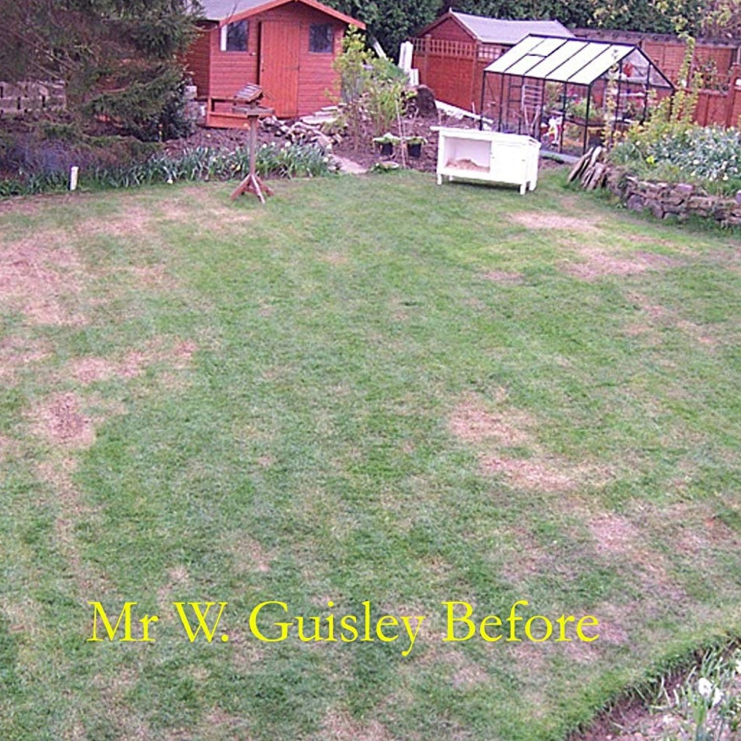 Grass Seed Bag | 500g