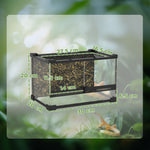 Glass Terrarium, Reptile Vivarium With Stone Background | 10l | Black